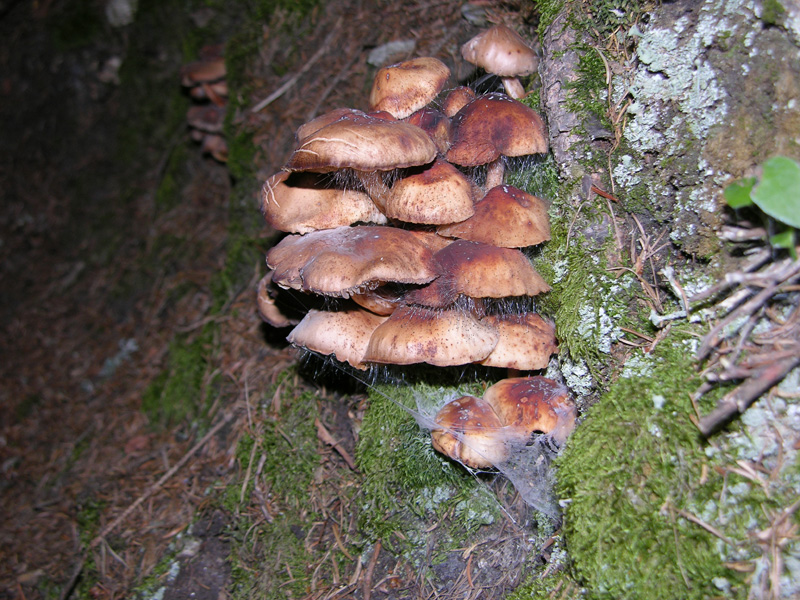 Ritrovamenti del 17 agosto.